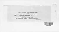 Image Associated With the Occurence